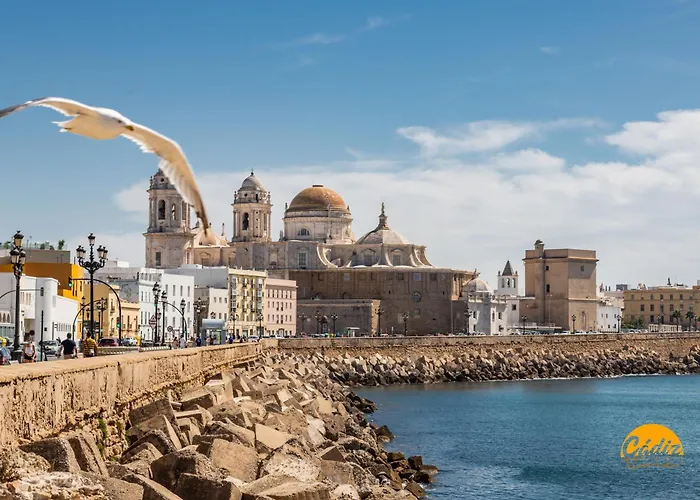 Flamenco Centro By Time * カディス