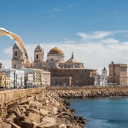 Flamenco Centro By Time * Cádiz